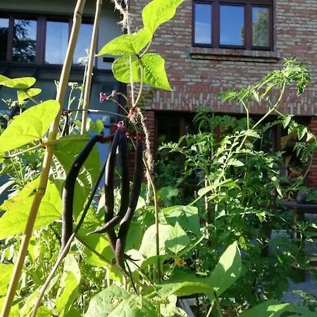 Lesny Kasztel Pod Sosnami. W Koronach Drzew. Milanowek