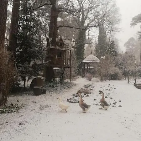 아파트 Lesny Kasztel Pod Sosnami. W Koronach Drzew.