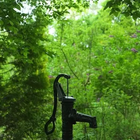 Lesny Kasztel Pod Sosnami. W Koronach Drzew. 아파트 Milanowek