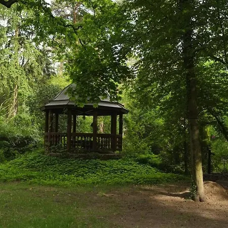 Lesny Kasztel Pod Sosnami. W Koronach Drzew. 아파트