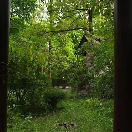 Lesny Kasztel Pod Sosnami. W Koronach Drzew.