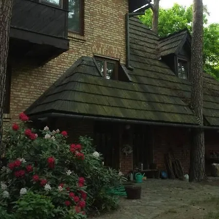 Lesny Kasztel Pod Sosnami. W Koronach Drzew. *