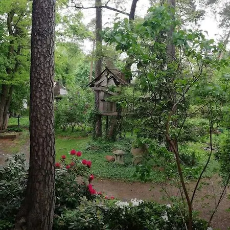 아파트 Lesny Kasztel Pod Sosnami. W Koronach Drzew. Milanowek