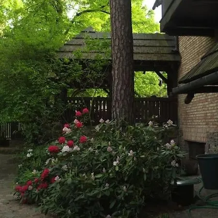 아파트 Lesny Kasztel Pod Sosnami. W Koronach Drzew.