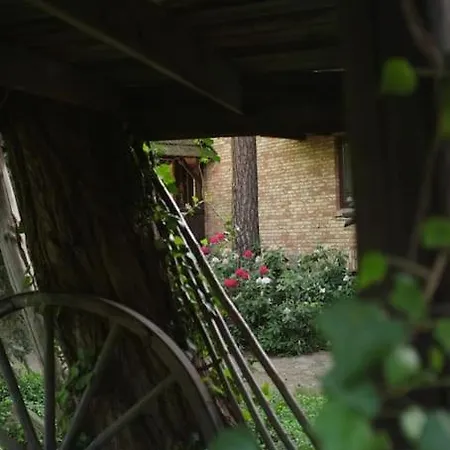 Lesny Kasztel Pod Sosnami. W Koronach Drzew. 아파트 *