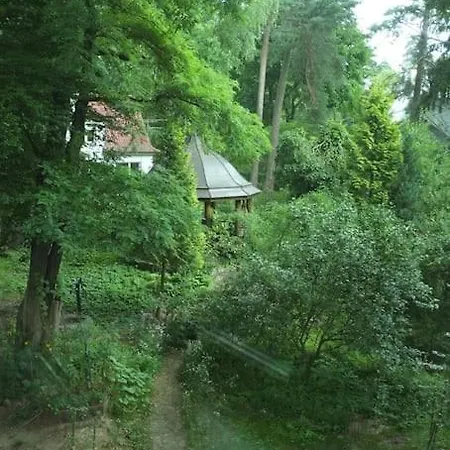 Lesny Kasztel Pod Sosnami. W Koronach Drzew.