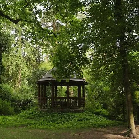 Lesny Kasztel Pod Sosnami. W Koronach Drzew. 아파트 Milanowek