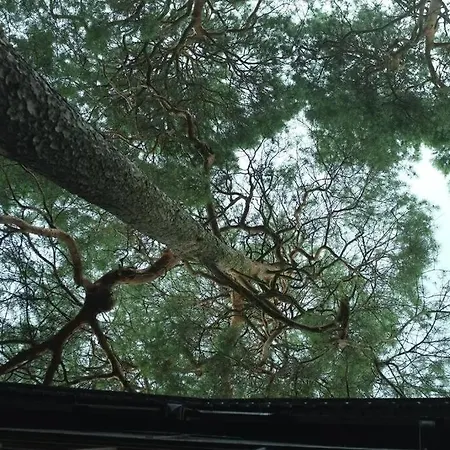 아파트 Lesny Kasztel Pod Sosnami. W Koronach Drzew. *