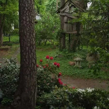 Lesny Kasztel Pod Sosnami. W Koronach Drzew. Milanowek