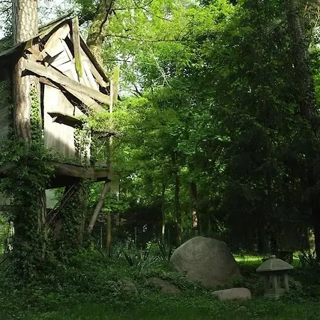 Lesny Kasztel Pod Sosnami. W Koronach Drzew. 아파트 *