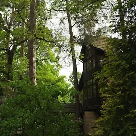 Lesny Kasztel Pod Sosnami. W Koronach Drzew. * Milanowek