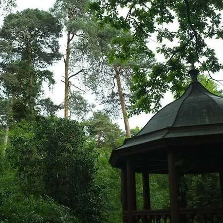 Lesny Kasztel Pod Sosnami. W Koronach Drzew. 아파트 Milanowek